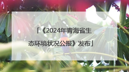 《2024年青海省生态环境状况公报》发布