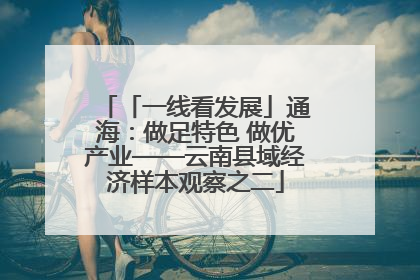 「一线看发展」通海：做足特色 做优产业——云南县域经济样本观察之二