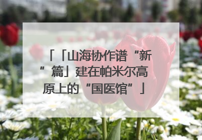 「山海协作谱“新”篇」建在帕米尔高原上的“国医馆”
