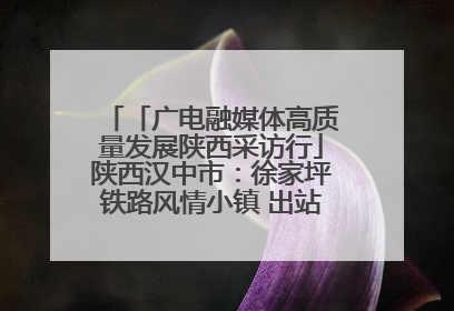 「广电融媒体高质量发展陕西采访行」陕西汉中市：徐家坪铁路风情小镇 出站就是景区