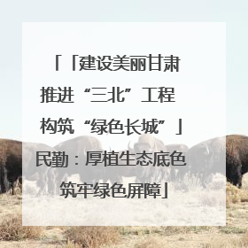 「建设美丽甘肃 推进“三北”工程 构筑“绿色长城”」民勤：厚植生态底色 筑牢绿色屏障