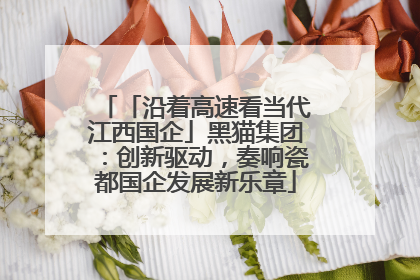 「沿着高速看当代江西国企」黑猫集团：创新驱动，奏响瓷都国企发展新乐章