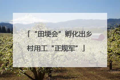 “田埂会”孵化出乡村用工“正规军”