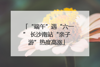 “端午”遇“六一” 长沙南站“亲子游”热度高涨