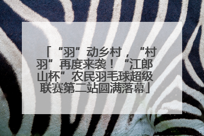 “羽”动乡村，“村羽”再度来袭！“江郎山杯”农民羽毛球超级联赛第二站圆满落幕