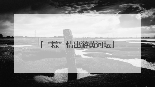 “粽”情出游黄河坛