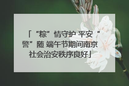 “粽”情守护 平安“警”随 端午节期间南京社会治安秩序良好
