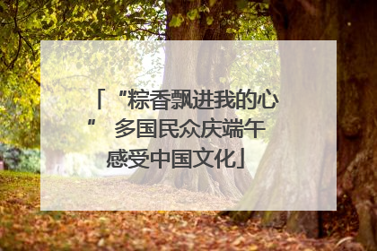 “粽香飘进我的心” 多国民众庆端午感受中国文化