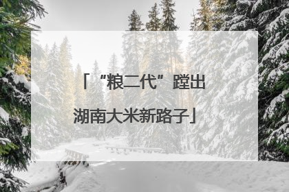 “粮二代”蹚出湖南大米新路子