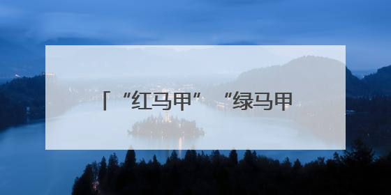 “红马甲”“绿马甲”“青”力护航高考