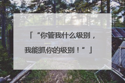 “你管我什么级别，我能抓你的级别！”