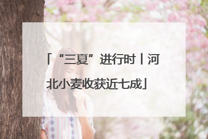 “三夏”进行时丨河北小麦收获近七成