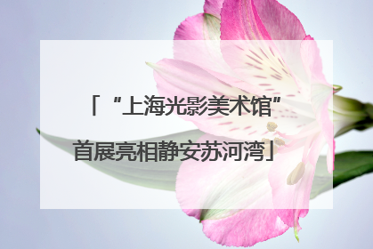 “上海光影美术馆”首展亮相静安苏河湾