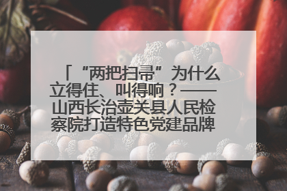 “两把扫帚”为什么立得住、叫得响？——山西长治壶关县人民检察院打造特色党建品牌激活发展动能