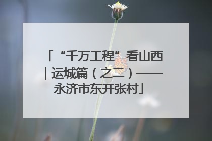 “千万工程”看山西｜运城篇（之二）——永济市东开张村