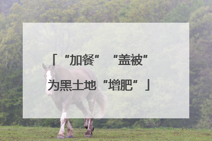 “加餐”“盖被” 为黑土地“增肥”