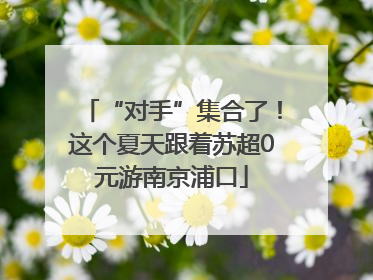 “对手”集合了！这个夏天跟着苏超0元游南京浦口