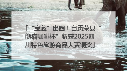 “宝藏”出圈！自贡荣县“熊猫咖啡杯”斩获2025四川特色旅游商品大赛铜奖