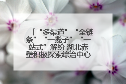 “多渠道”“全链条”“一揽子”“一站式”解纷 湖北赤壁积极探索综治中心规范化建设新路子