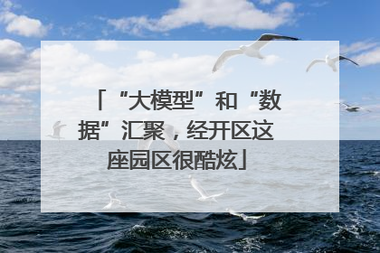 “大模型”和“数据”汇聚，经开区这座园区很酷炫