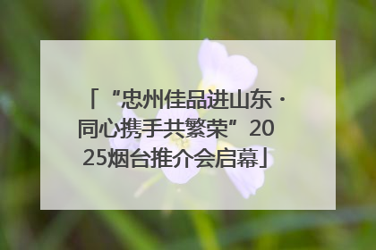 “忠州佳品进山东・同心携手共繁荣”2025烟台推介会启幕