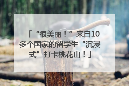“很美丽！”来自10多个国家的留学生“沉浸式”打卡桃花山！