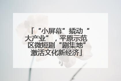 “小屏幕”撬动“大产业”，平原示范区微短剧“剧集地”激活文化新经济