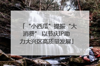 “小西瓜”提振“大消费” 以节庆IP助力大兴区高质量发展