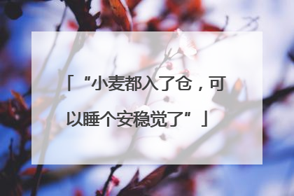 “小麦都入了仓，可以睡个安稳觉了”