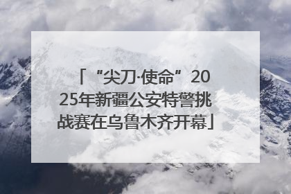 “尖刀·使命”2025年新疆公安特警挑战赛在乌鲁木齐开幕