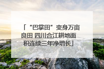 “巴掌田”变身万亩良田 四川合江耕地面积连续三年净增长