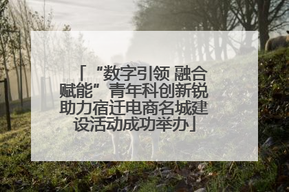 “数字引领 融合赋能”青年科创新锐助力宿迁电商名城建设活动成功举办