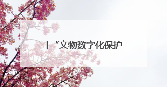 “文物数字化保护战略”写入法规，守护文明需担当