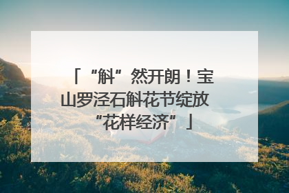 “斛”然开朗！宝山罗泾石斛花节绽放“花样经济”