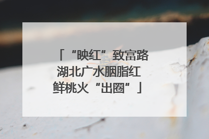 “映红”致富路 湖北广水胭脂红鲜桃火“出圈”