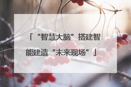 “智慧大脑”搭建智能建造“未来现场”