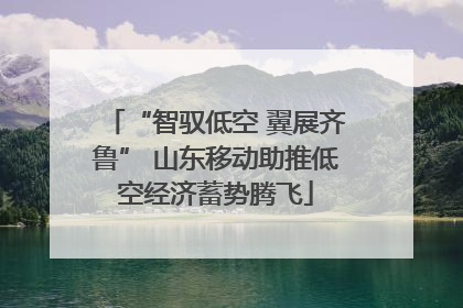 “智驭低空 翼展齐鲁” 山东移动助推低空经济蓄势腾飞