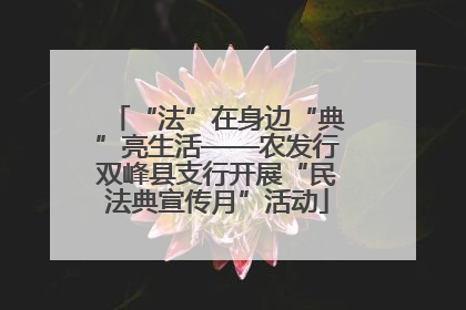 “法”在身边“典”亮生活——农发行双峰县支行开展“民法典宣传月”活动