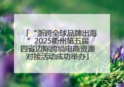 “浙跨全球品牌出海”2025衢州第五届四省边际跨境电商资源对接活动成功举办