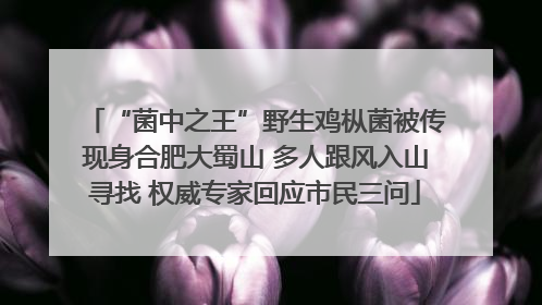 “菌中之王”野生鸡枞菌被传现身合肥大蜀山 多人跟风入山寻找 权威专家回应市民三问