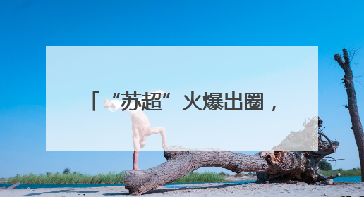 “苏超”火爆出圈，“十四妹”入群！湖北黄石14家A级景区对江苏游客免票