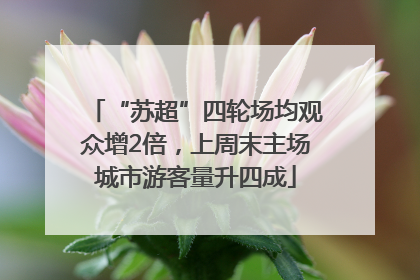 “苏超”四轮场均观众增2倍，上周末主场城市游客量升四成