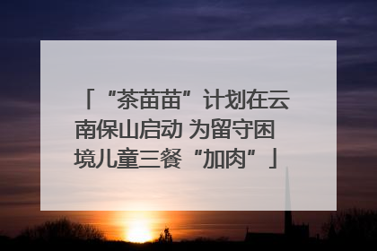 “茶苗苗”计划在云南保山启动 为留守困境儿童三餐“加肉”