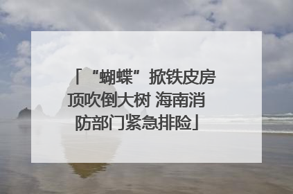 “蝴蝶”掀铁皮房顶吹倒大树 海南消防部门紧急排险