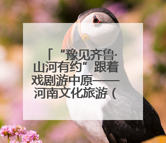 “豫见齐鲁·山河有约”跟着戏剧游中原——河南文化旅游（山东）推广周活动菏泽站活动举行