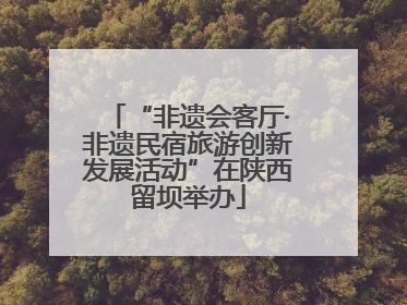 “非遗会客厅·非遗民宿旅游创新发展活动”在陕西留坝举办