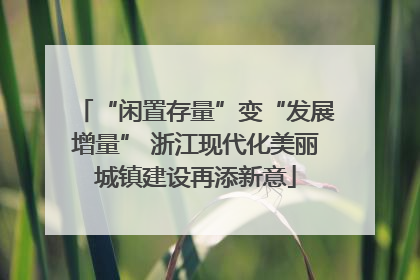 “闲置存量”变“发展增量” 浙江现代化美丽城镇建设再添新意