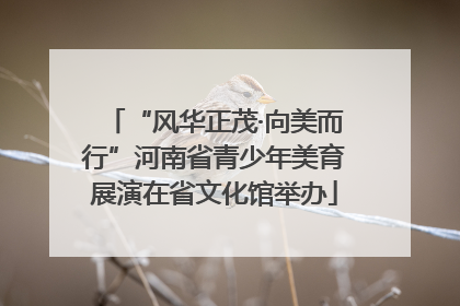 “风华正茂·向美而行”河南省青少年美育展演在省文化馆举办