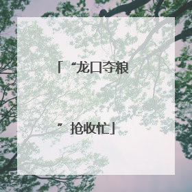 “龙口夺粮”抢收忙