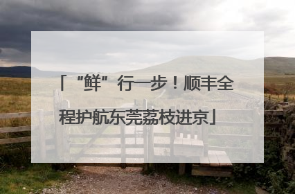 “鲜”行一步！顺丰全程护航东莞荔枝进京